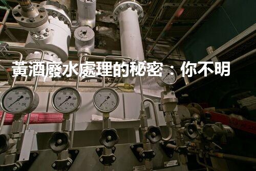 黃酒廢水處理的秘密：你不明白的環(huán)保技術突破！